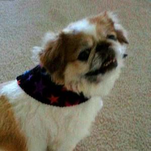 Meet your Posher, Marlene